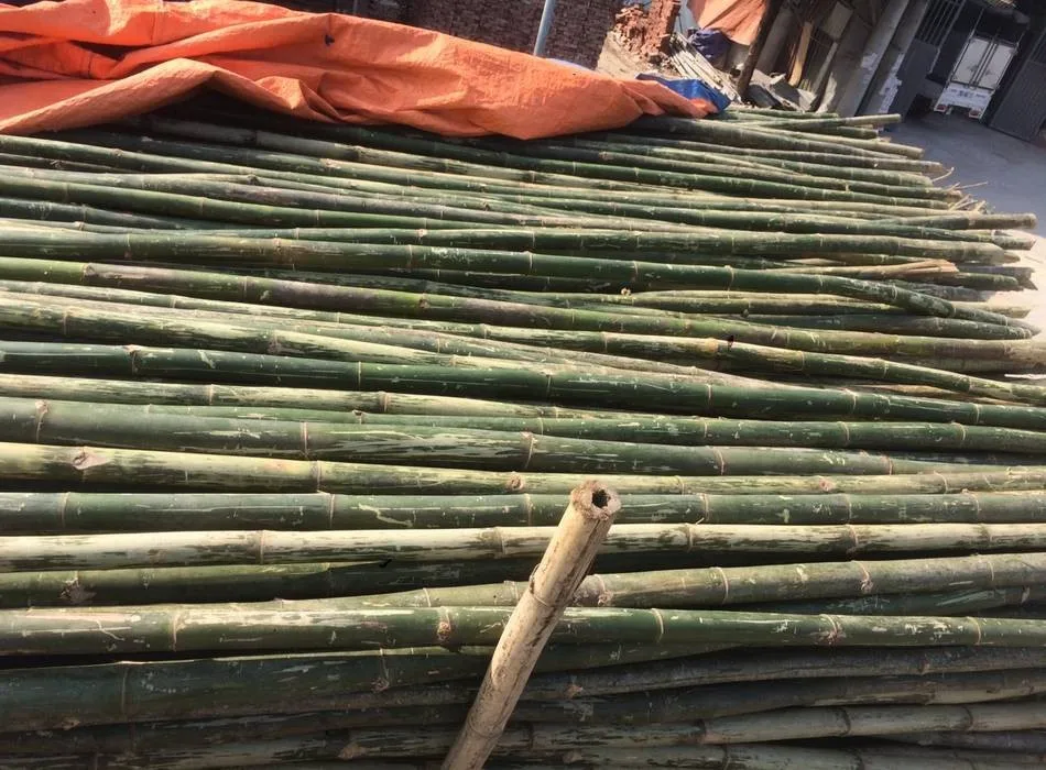 Биг бамбук big bamboo vip. Бамбуковые палки для огорода. Бамбуковая палка большая. Бамбуковый шест. Оби бамбуковая палка.