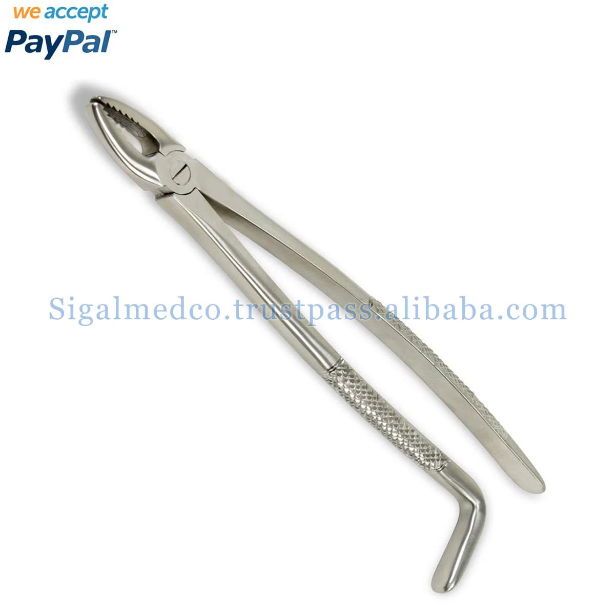 Equine Dental Wolf Tooth Extractor Forceps Stainless Steel 9.5″ Long