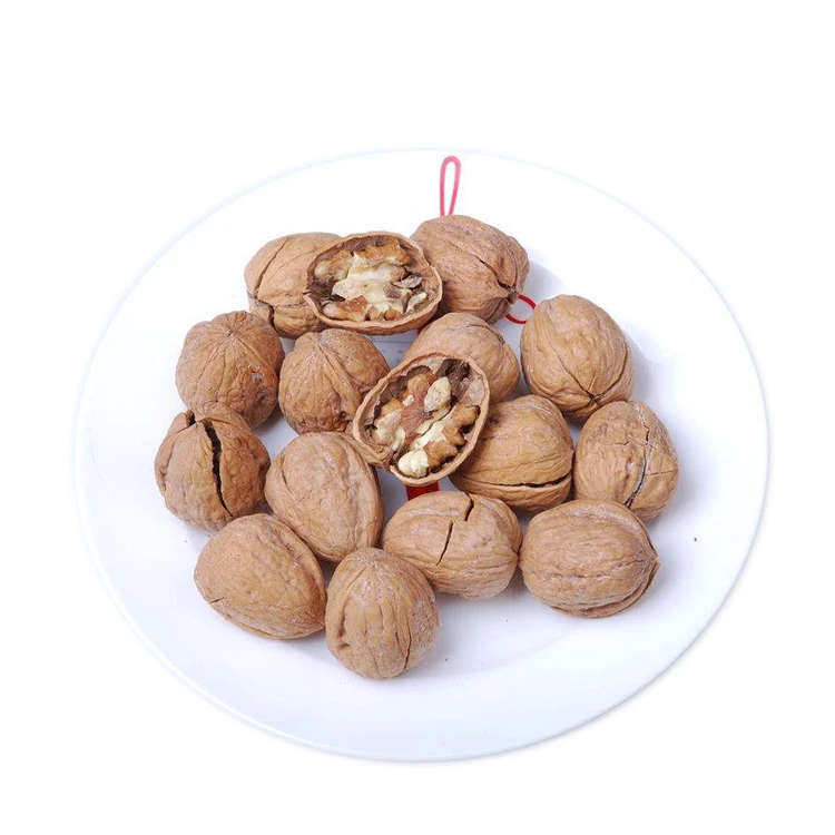
China Paper Inshelled The Walnut Inshell Wholesale Raw Meat Exporter 