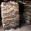 Wet Salted Cow Hides /Horse Hides at affordable price...