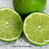 FRESH LIME/ FRESH LEMON FROM VIETNAM - BEST QUALITY FOR EXPORT