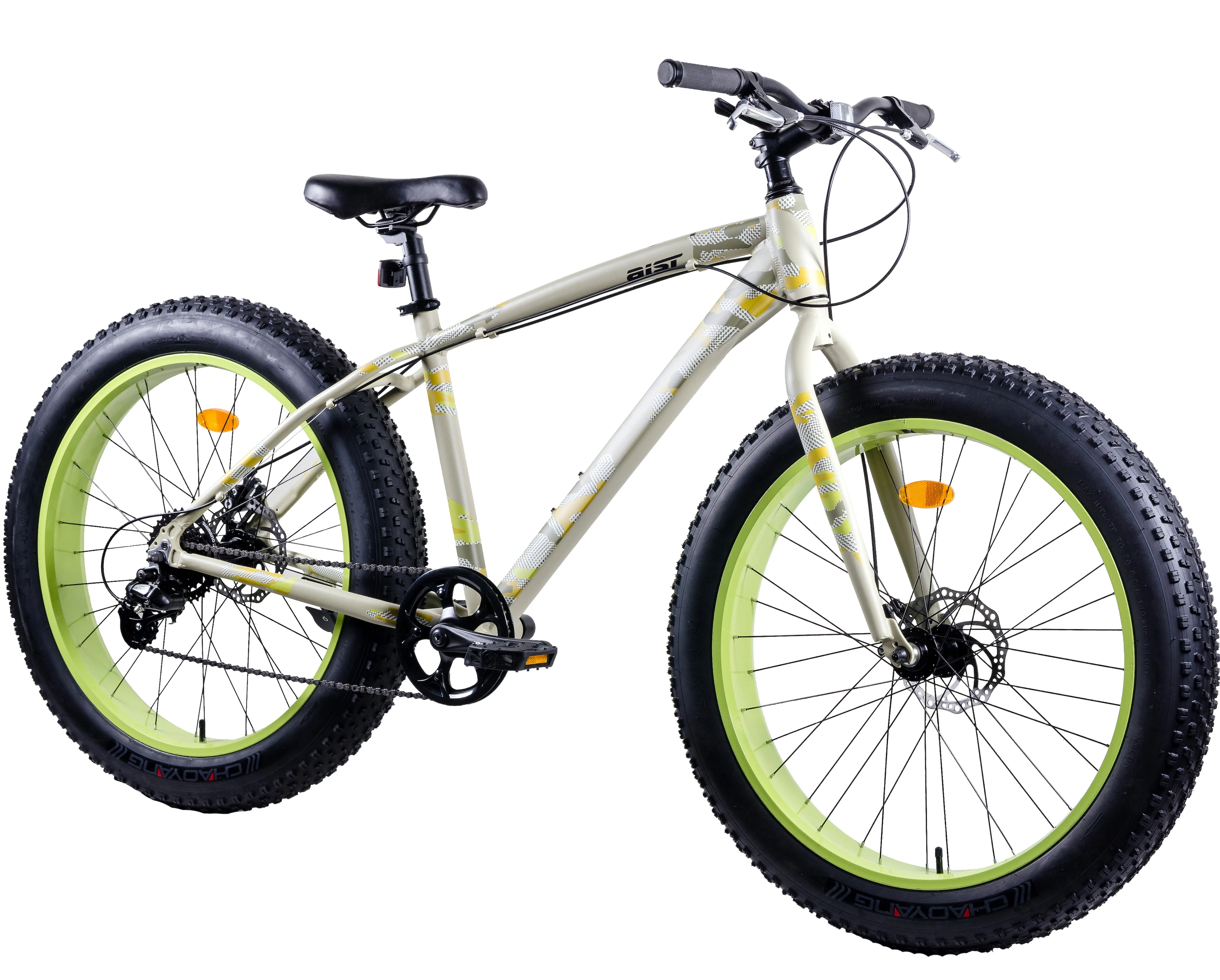 best fat bike for beach