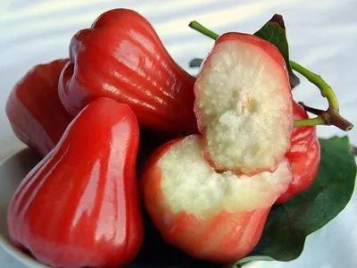 fresh rose apple - vietnamese special fresh bell fruit