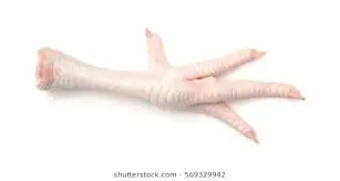 feet 2.jpg