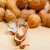 Peanuts kernel/Blanched peanut kernels peanuts white peanut kernel