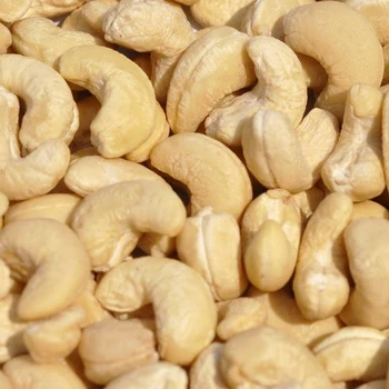 Best Price Fresh W240 Cashew Nuts 