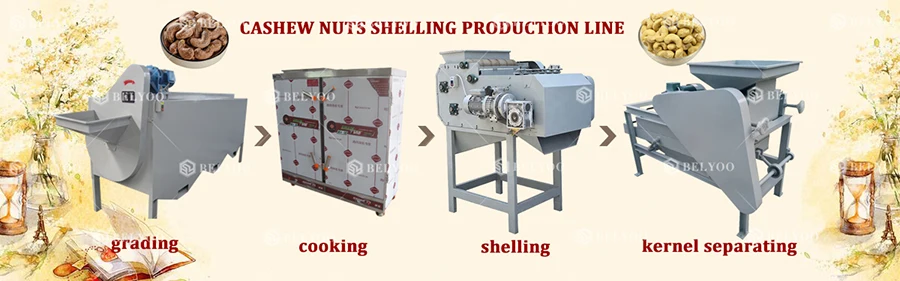 High efficiency cashew nut machine automatic manual cashew sheller processing line cashew nut processing plant