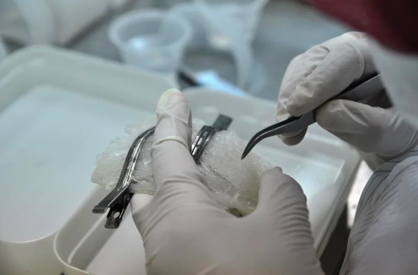 Malaysia Best Grade Of Edible Bird Nest Stripe Nest Buy Bird Nest