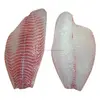 /product-detail/quality-frozen-red-tilapia-filet-50036432479.html