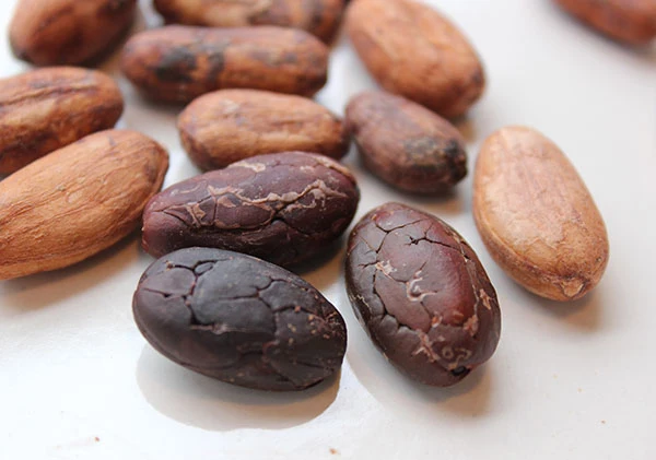 cacao-recipes-cacao-beans.jpg