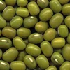 High Grade"ONE" Green Mung Beans For Sale