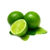 Fresh lemon low price / Lime high quality from Vietnam farm
