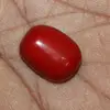 Natural red coral cabochon oval smooth 10x15 mm loose gemstone 10.2 Carats