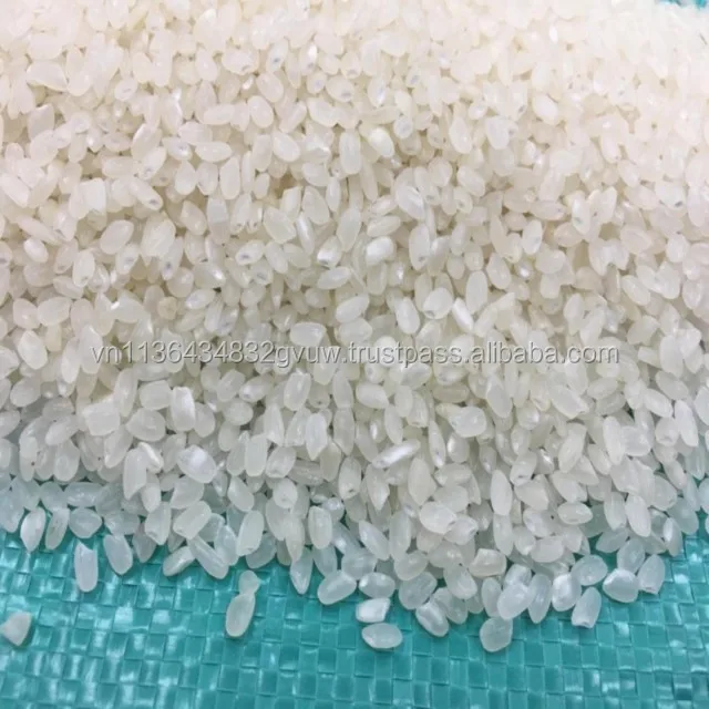 JAPONICA 2% BROKEN 33.jpg