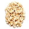 White Corn For Sale