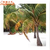 Chinese wholesale fake fiberglass plastic large coconut bottle palm tree for sale coco trees lamp beach decor