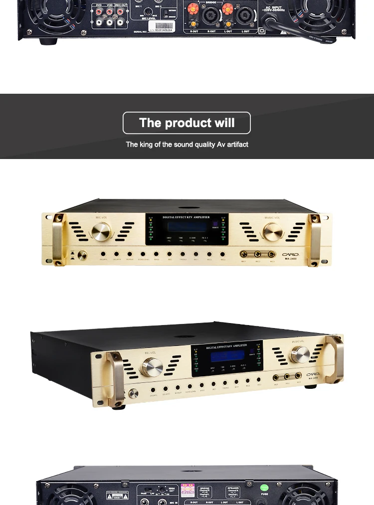 Digital Echo Karaoke Amplifier With Dsp - Buy 600w Karaoke Amplifier