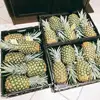 Fresh Quality Pineapples Now Available on 30% Discount Ready for Exportation