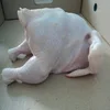 /product-detail/export-halal-frozen-whole-chicken-brazil-low-salt-feature-and-bqf-freezing-62007447962.html