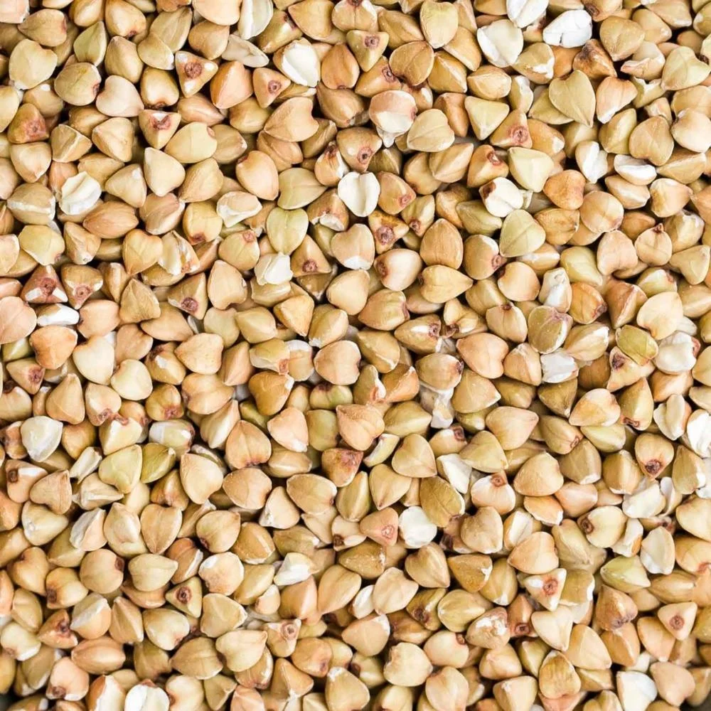 
Wholesale buckwheat 
