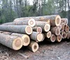 poplar logs, red oak, white oak, beech, walnut