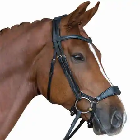 Leather Horse Bridles Buy Bridles Horse Leather Decorative Bridle