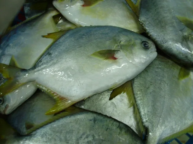 best season all the year round