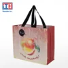 Eco-friendly PP Bags for Shopping, Picnic, Travel in the Summer