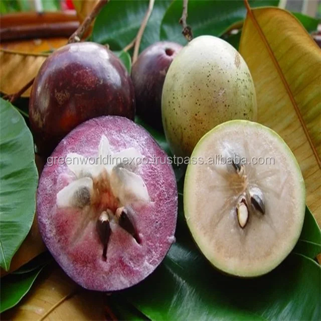 Star Apple with cheap price and high quality