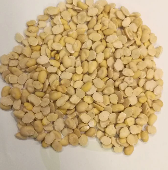 
SPLIT FAVA BEANS 