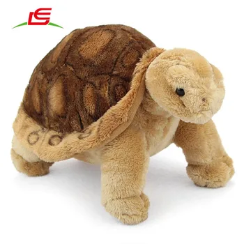 realistic turtle toy