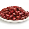 Bulk Packaging red kidney beans dried