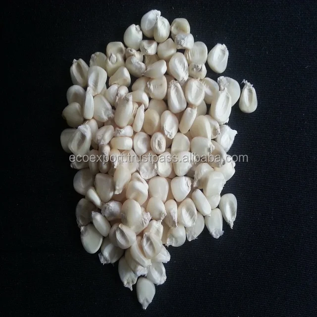 
Desi Maize 