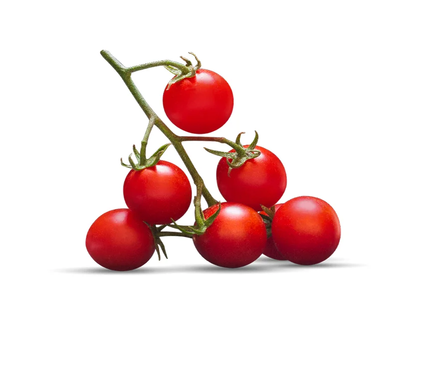 
Italian Cherry Tomato in can - 24 x 400 grams 