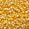 Cracked yellow Maize/ Corn for animals