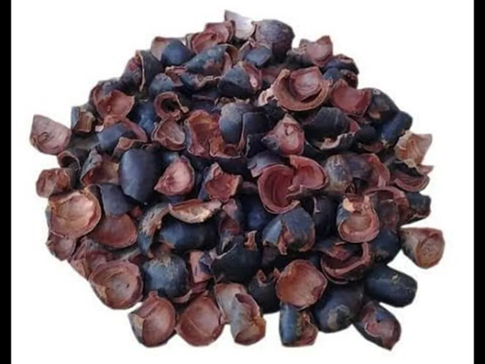 Wholesale Dried Mangosteen Peel / Powder For Health Buy Wholesale