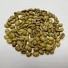GREEN COFFEE BEANS WET POLISHED ROBUSTA SCREEN 18