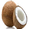 Factory Supply Semi Husked and Fully Husked Natural Beneficial Coconuts