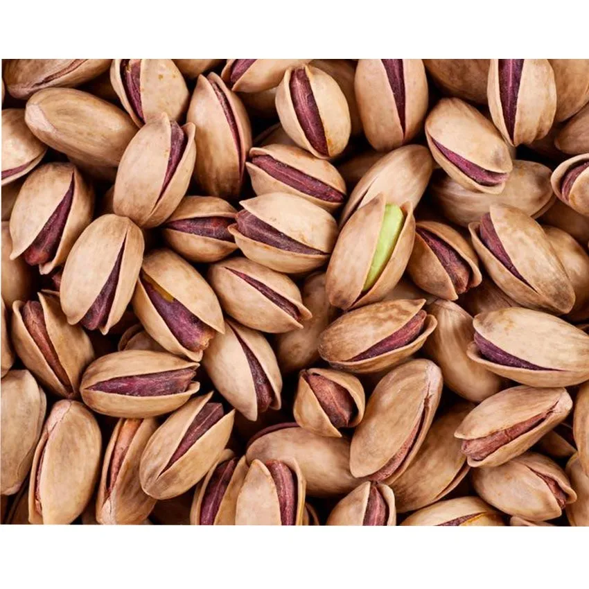 土耳其开心果坚果在壳牌烤和盐渍优质从 antep