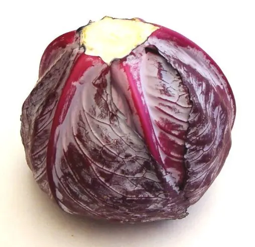 Red Cabbage Buy Price For Red Cabbage Purple Cabbage Whole Cabbage Product On Alibaba Com,Thai Food Meme