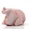 /product-detail/brazil-halal-frozen-whole-chicken-with-sif-approved-50040393467.html