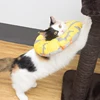 wholesale manufacturer waterproof pp cotton adjustable circle pet dog cat elizabeth collar