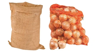 Onion.jpg