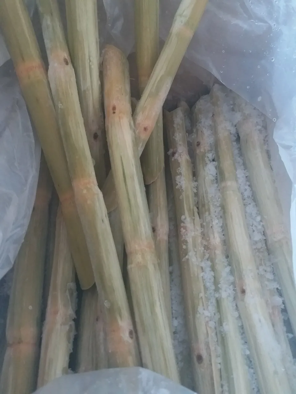 Price Of Sugar Cane Stick For Importers Ms.holiday Buy Sugar Cane