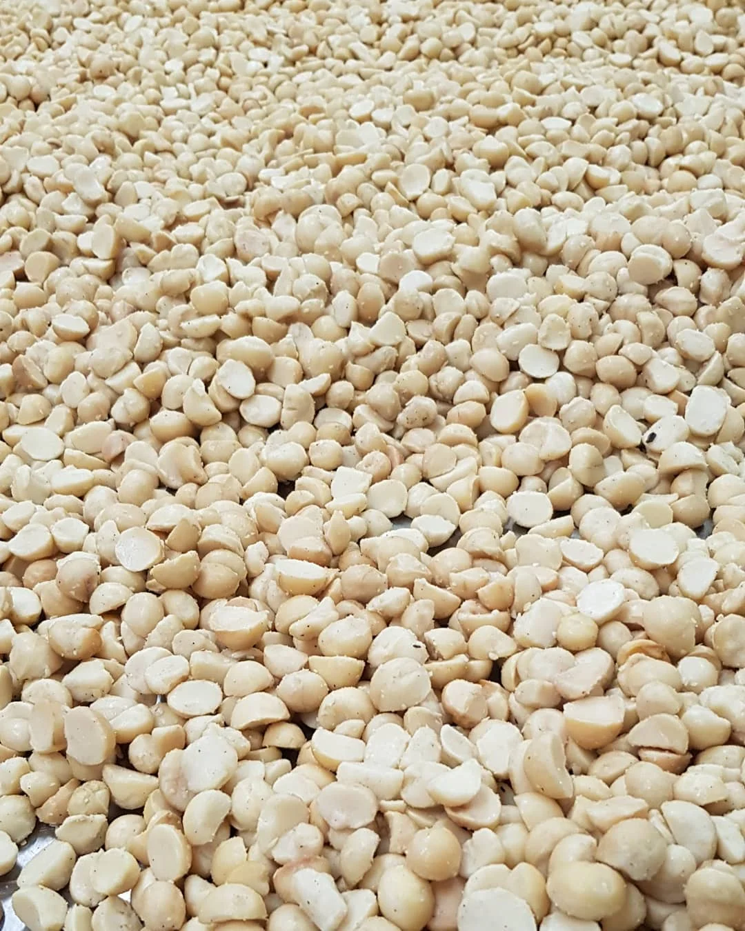 
Australian Macadamia Kernel all sizes Superior quality 