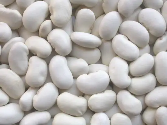 White Kidney Beans.jpg