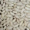 White Kidney Beans Long and Round shape