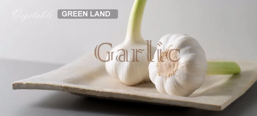 fresh vegetables black garlic price buy in china from colombia
