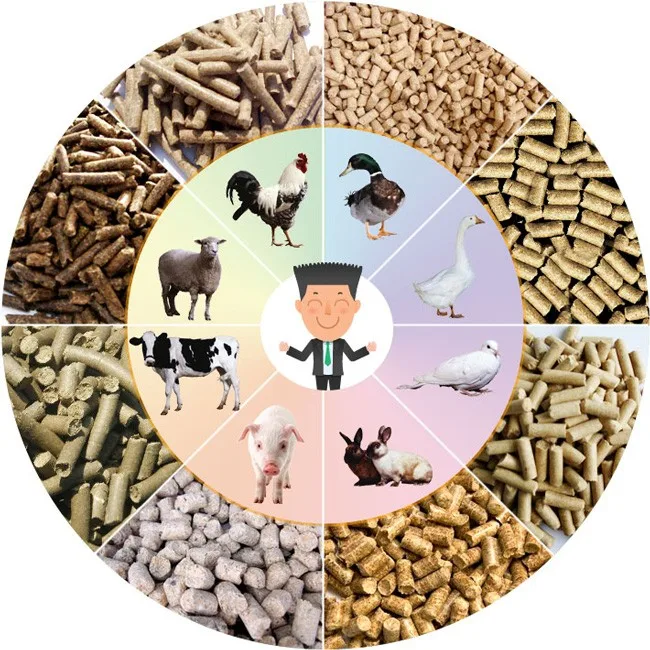 Top Quality Feed Wheat Grade 4 Buy Feed Wheat,Wheat Bran Animal Feed,Animal Feed Product on