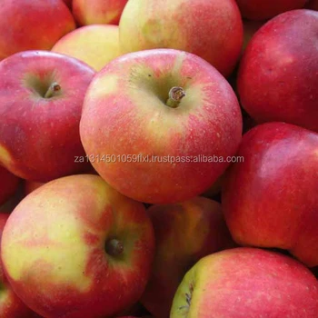 6000 Gambar Buah Apel Fuji HD Paling Baru 6000 Gambar Buah Apel Fuji HD Paling Baru